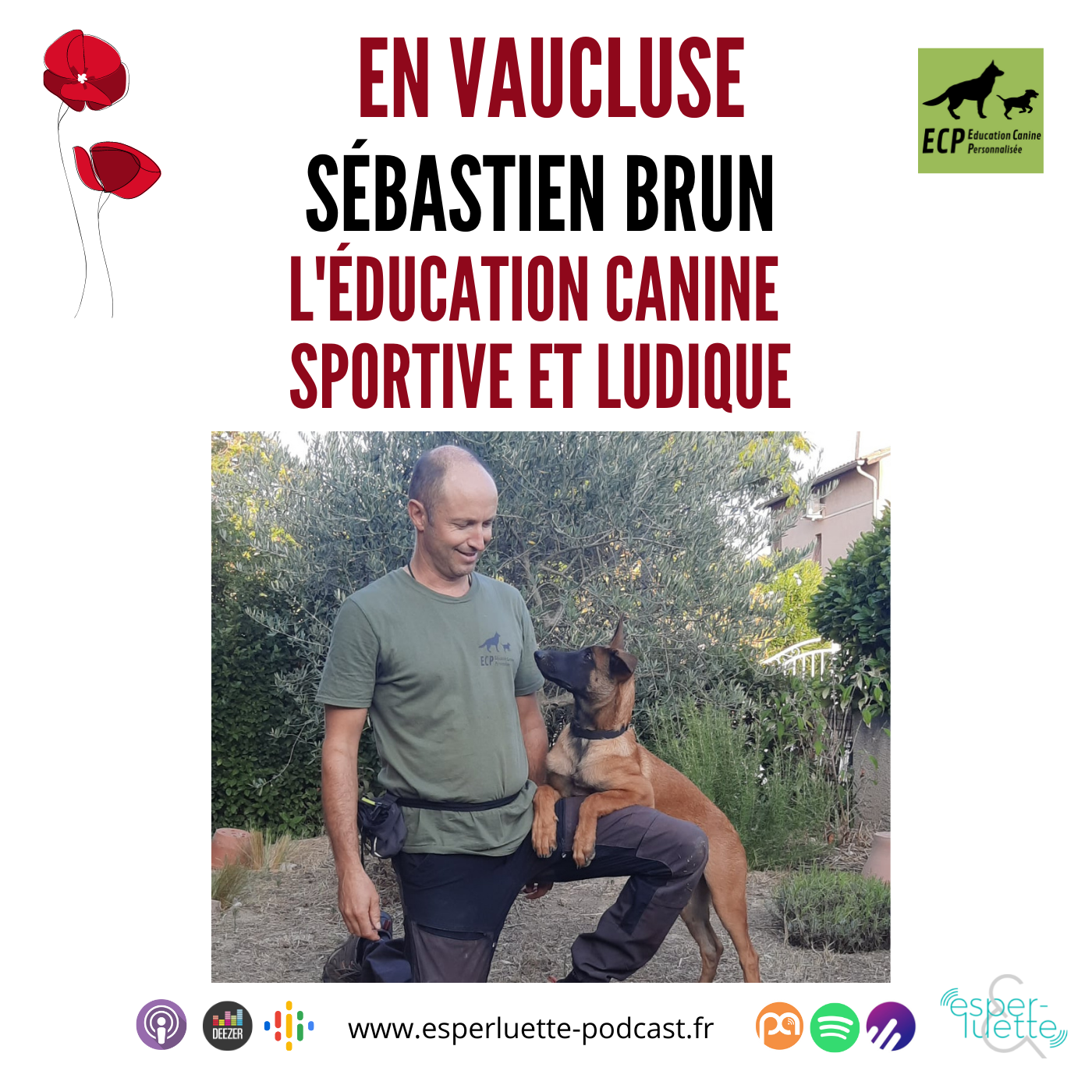 Sébastien Brun, l’éducation canine sportive & ludique – En Vaucluse