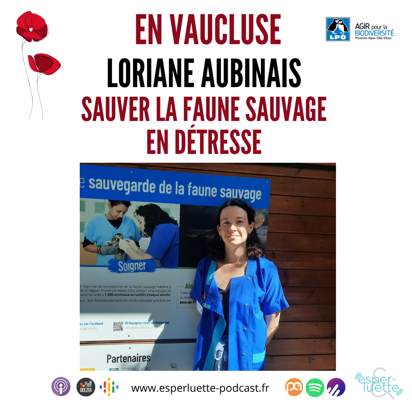 Loriane Aubinais, sauver la faune sauvage en détresse – En Vaucluse