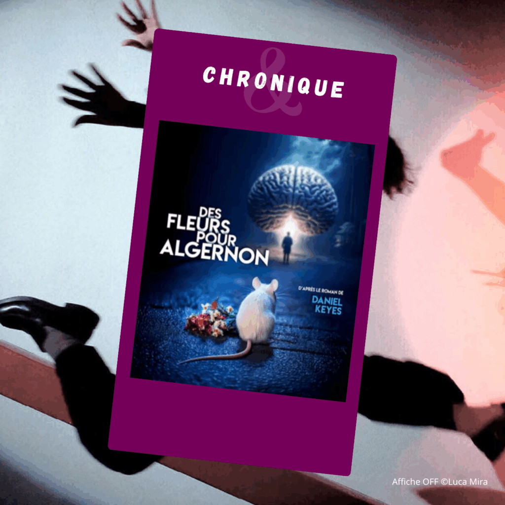 Des fleurs pour Algernon - William Mesguich - Festival OFF 2025